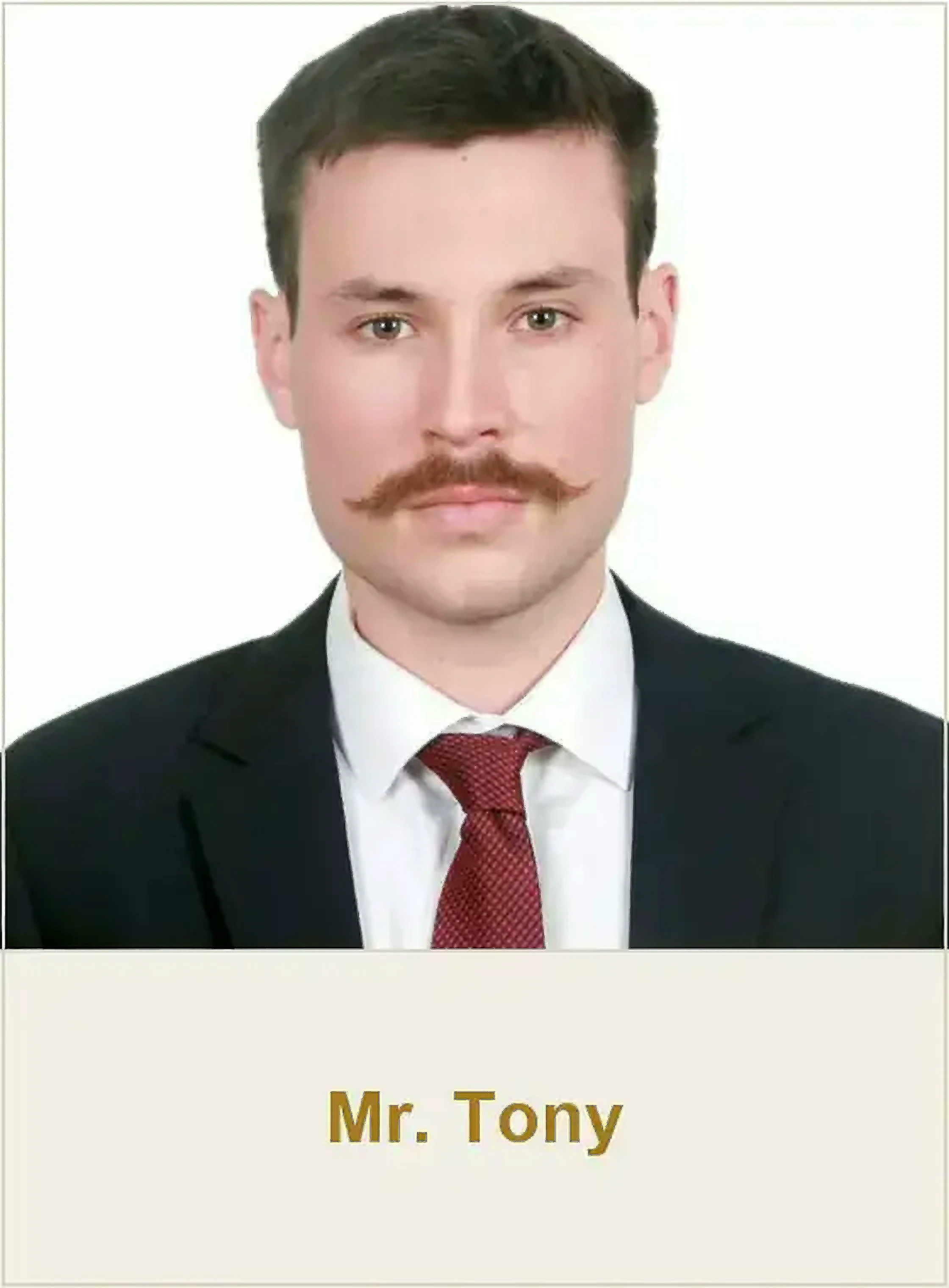 Faculty profile card